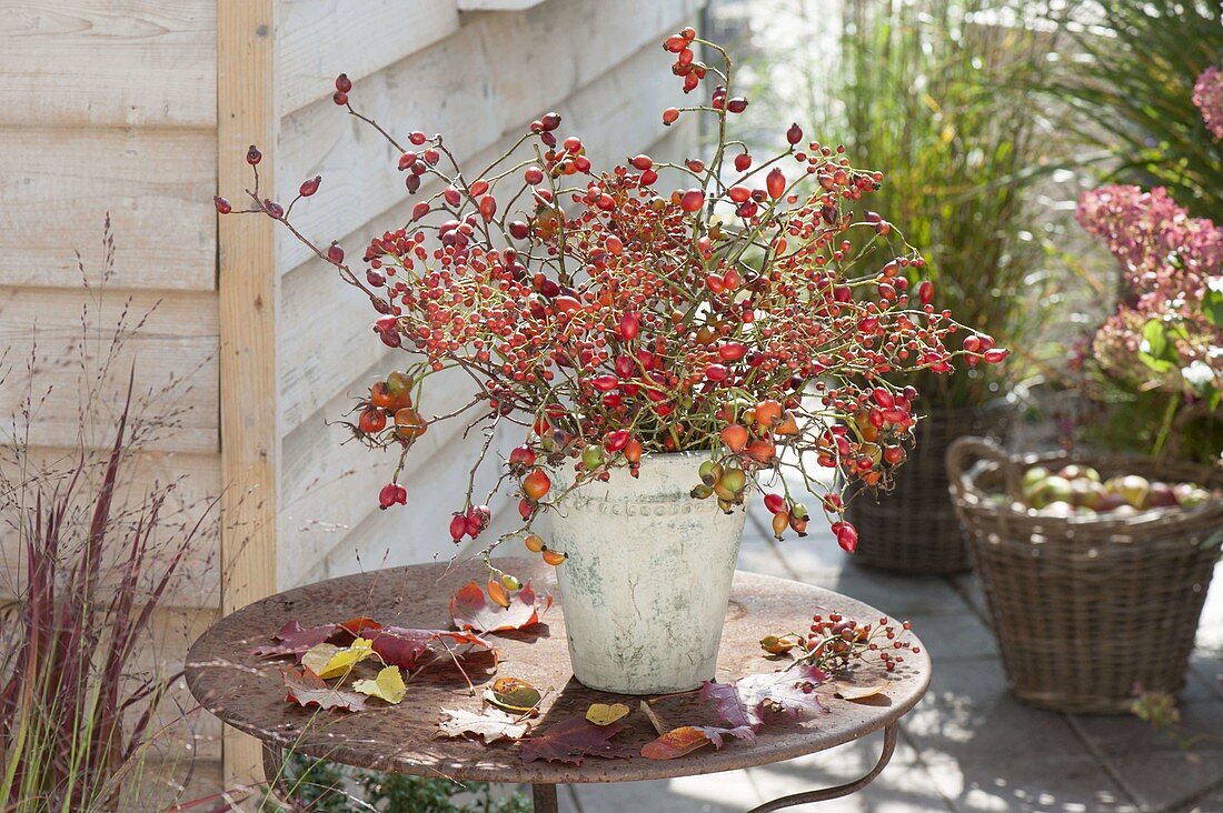 Bouquet of different roses and autumn leaves on rusty table
