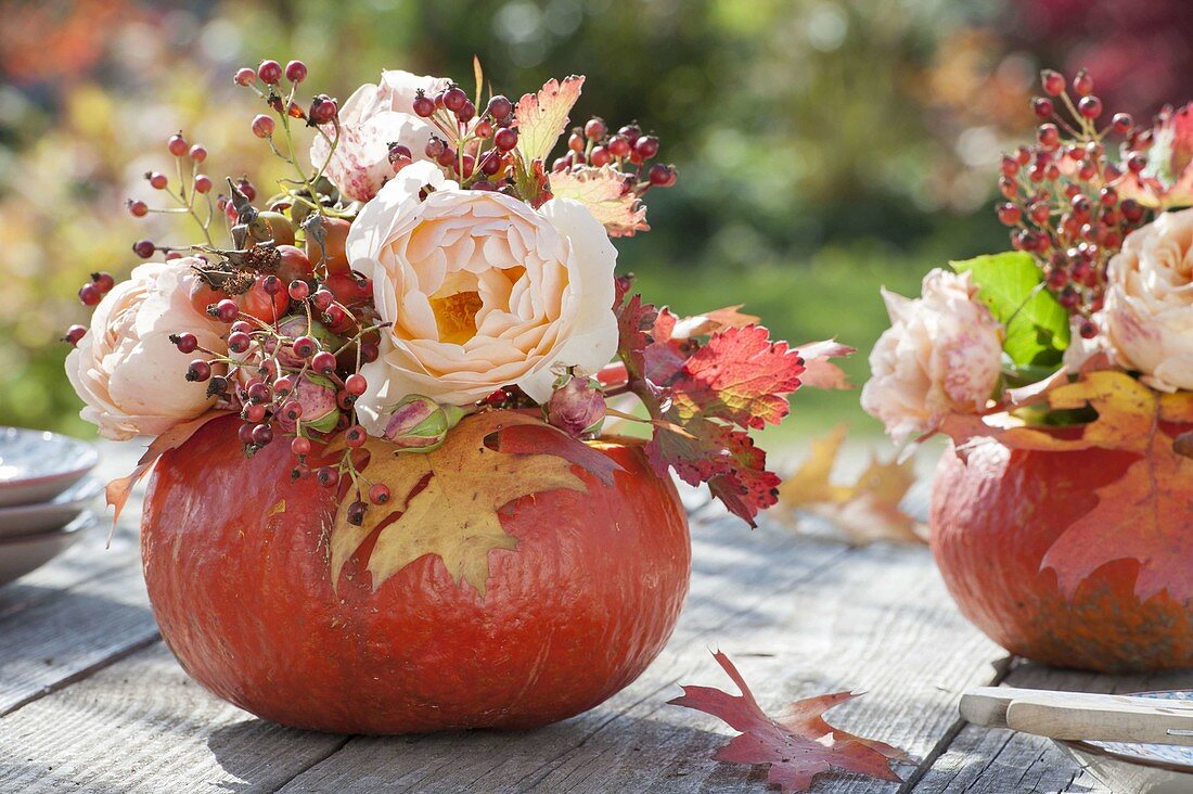 Hollow pumpkins as vases for small bouquets of pink