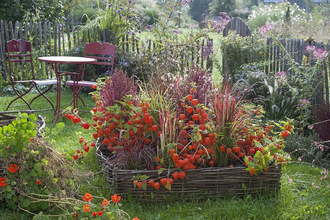 Indian summer bed with hazelrod surround