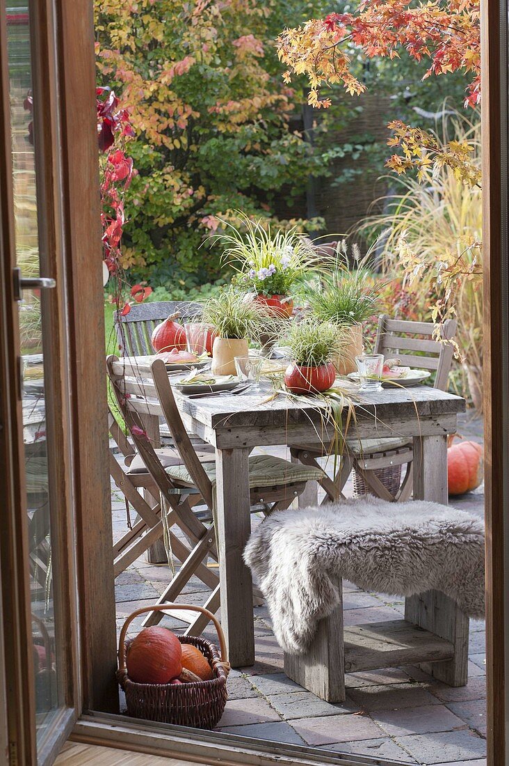 Autumnal pumpkin table decoration with grasses