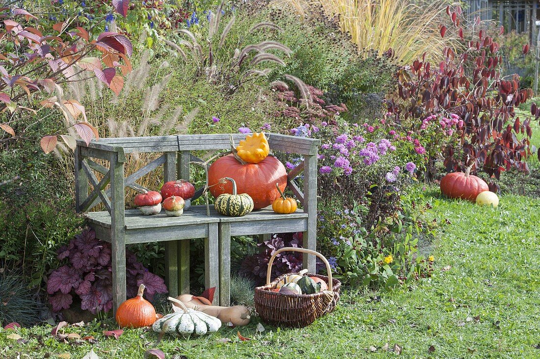 Bank am Herbstbeet mit Stauden und Gräsern