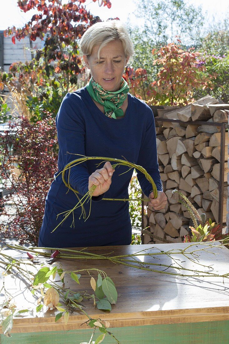 Bind autumn wreath out of green dogwood branches