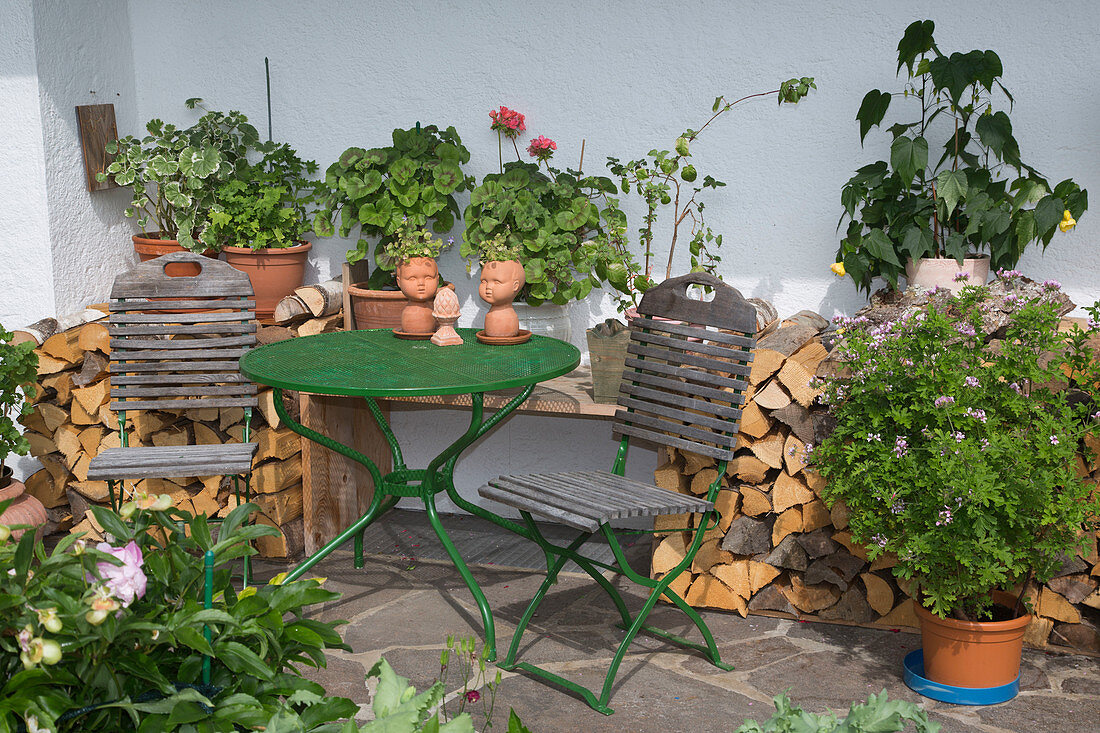 Kleine Sitzecke mit Kübelpflanzen an der Hauswand neben Brennholz: Pelargonium (Geranien), Abutilon (Schönmalve), Tisch und Stühle