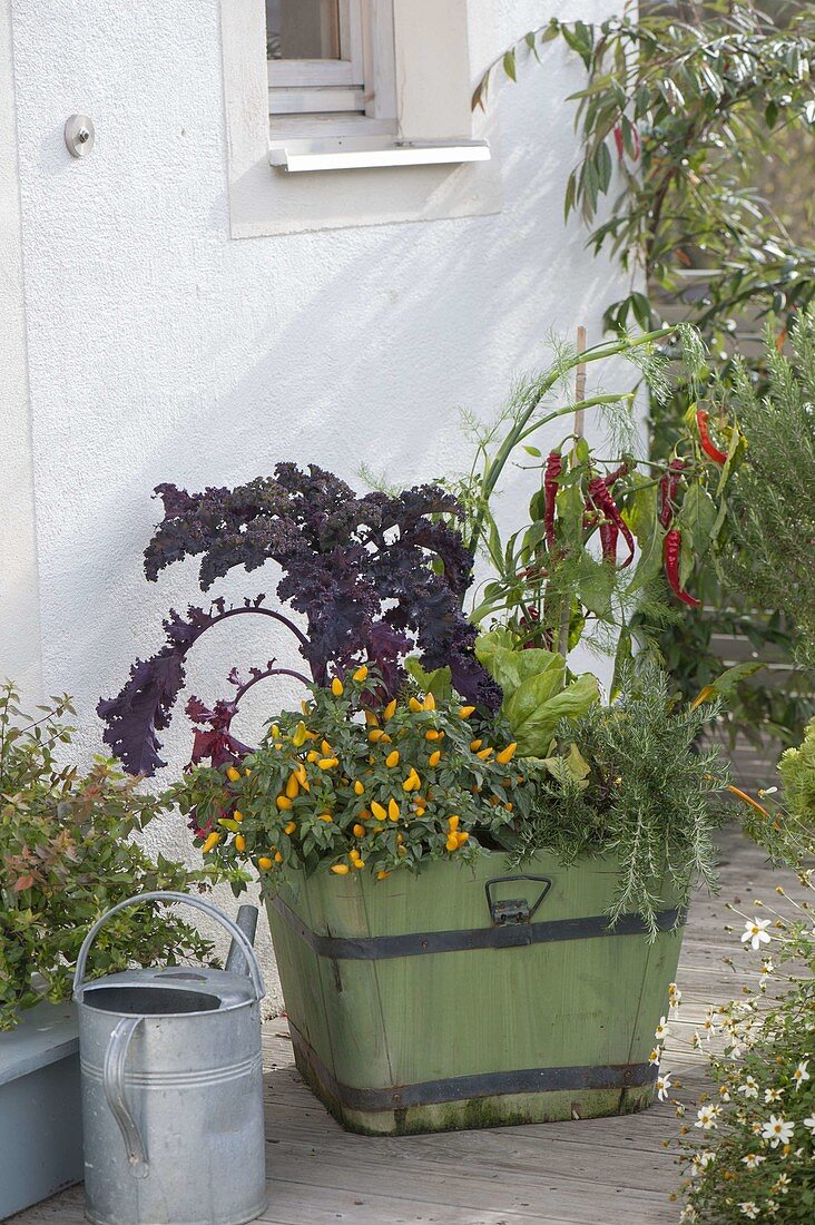 Green wooden bucket with herbs and vegetables