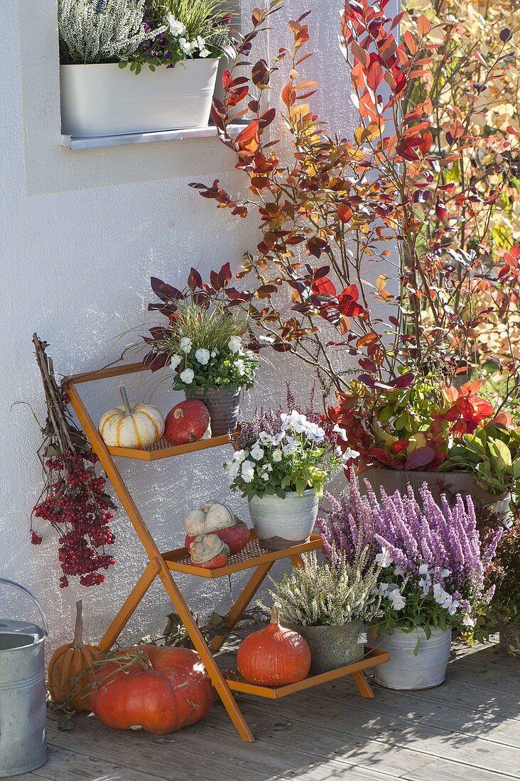 Orange flower staircase with pumpkins and heather