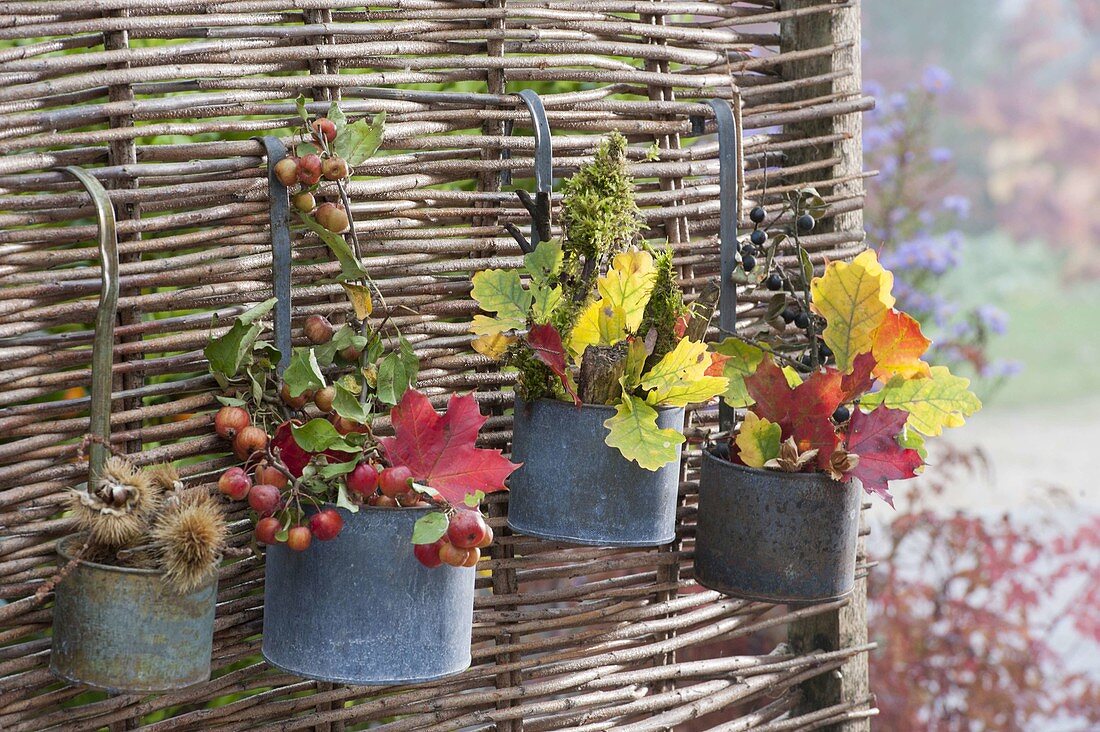 Floristic decorations with finds from the autumn forest