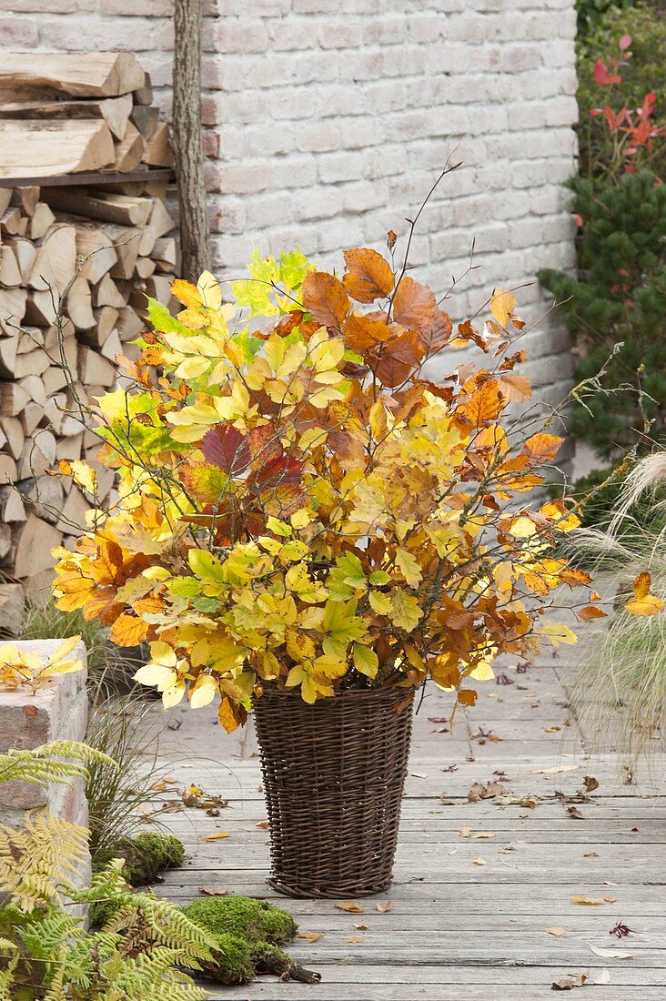 Floristic decorations with finds from the autumn forest