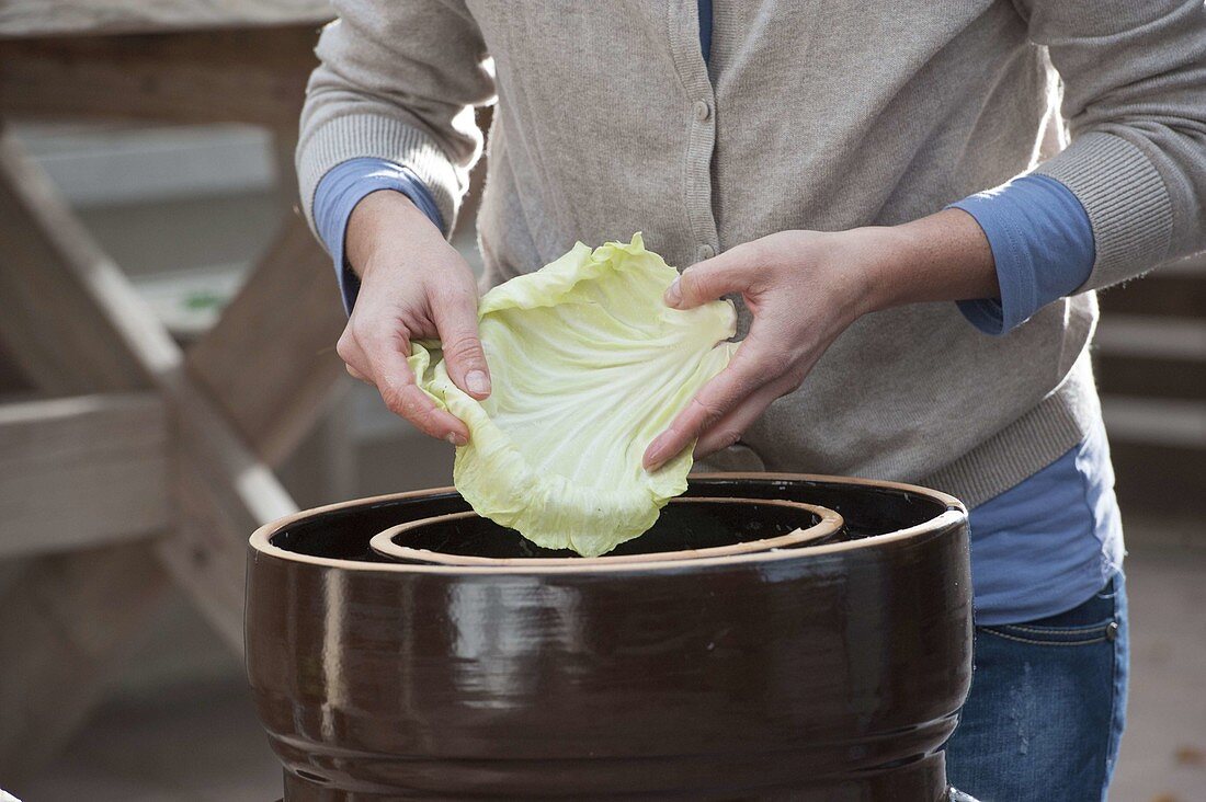 Making sauerkraut yourself