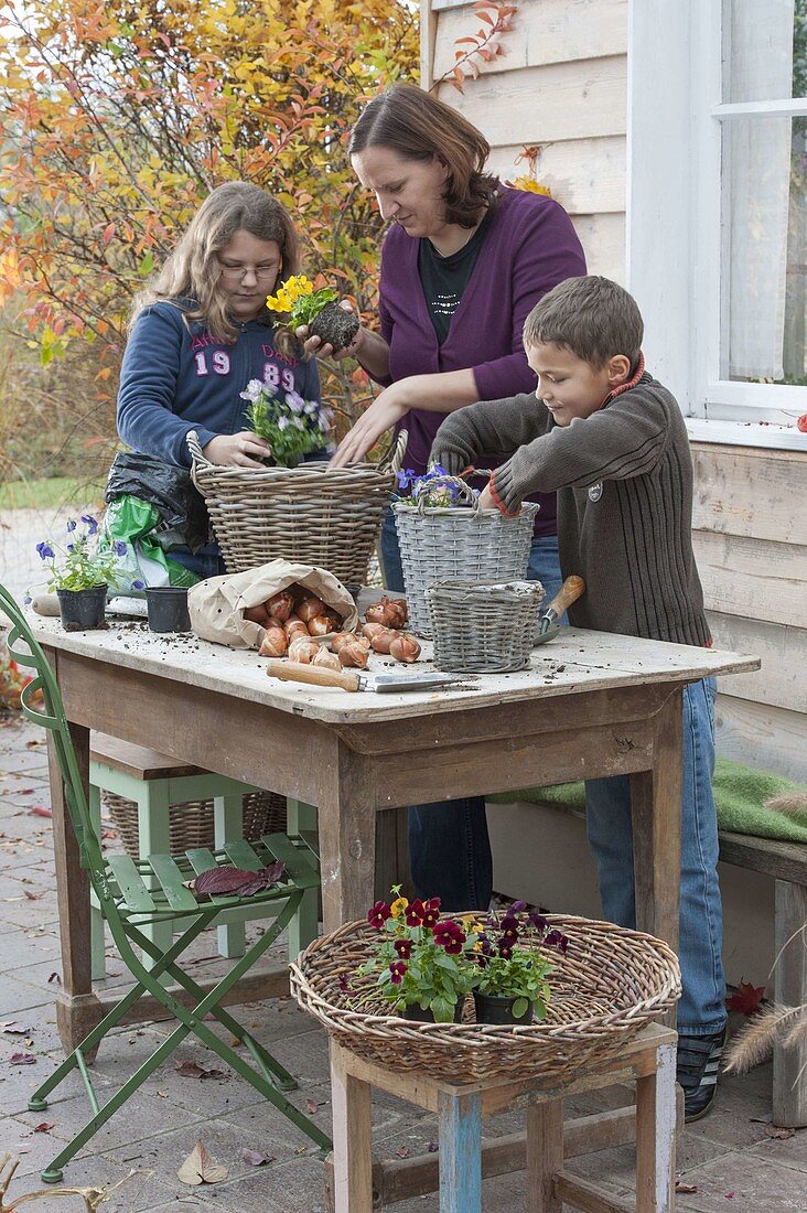 Mutter und Kinder bepflanzen Körbe mit Viola und Tulpenzwiebeln