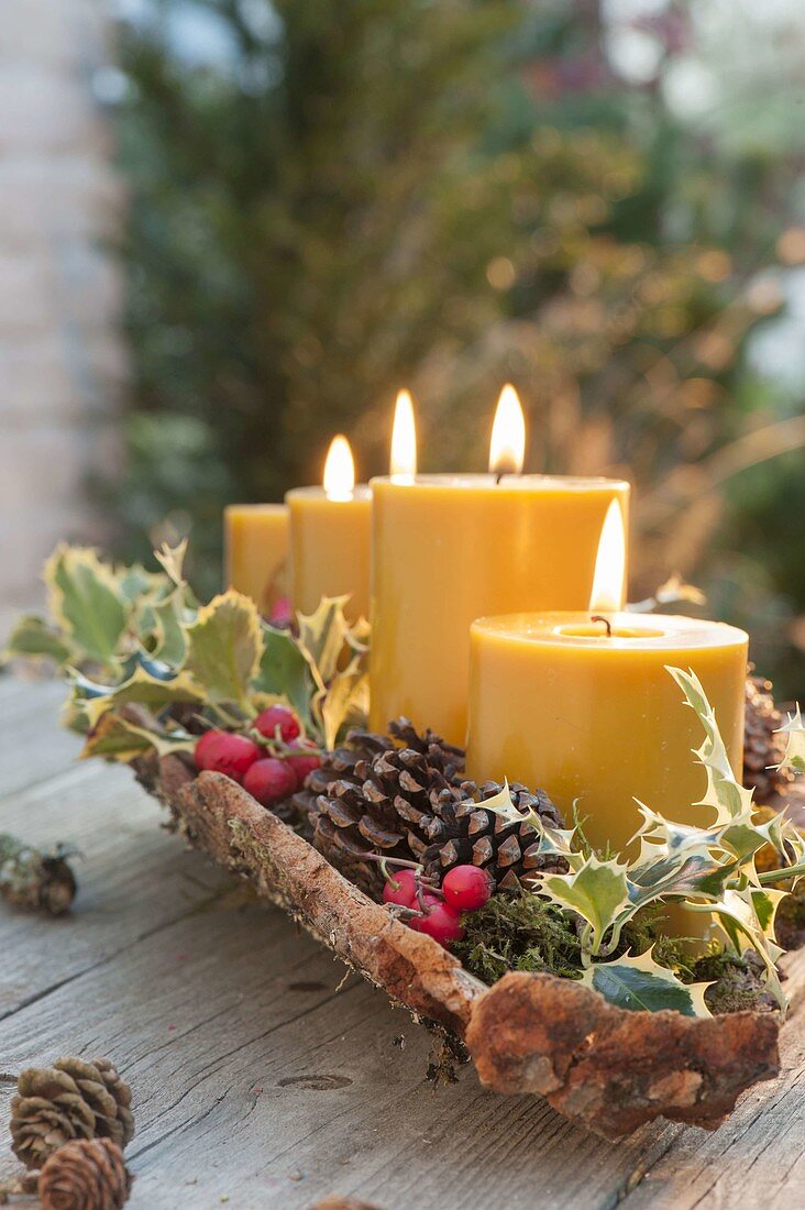 4 yellow candles in bark, decorated with ilex, red berries