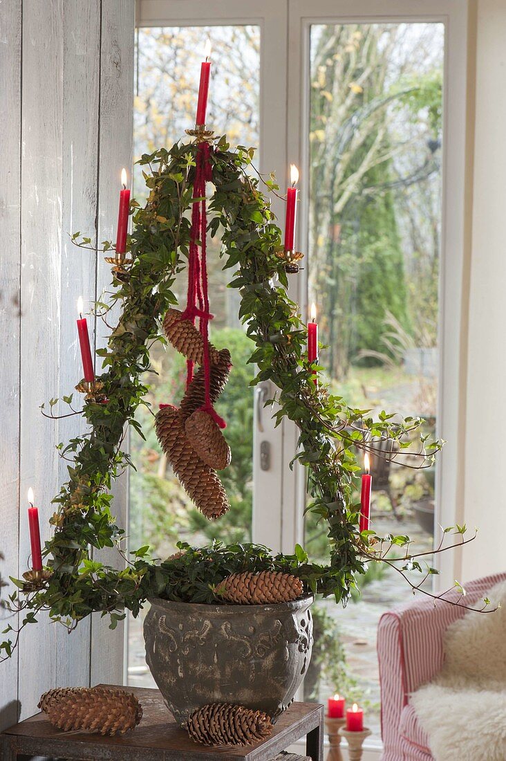 Hedera drawn in Christmas tree shape and with red candles