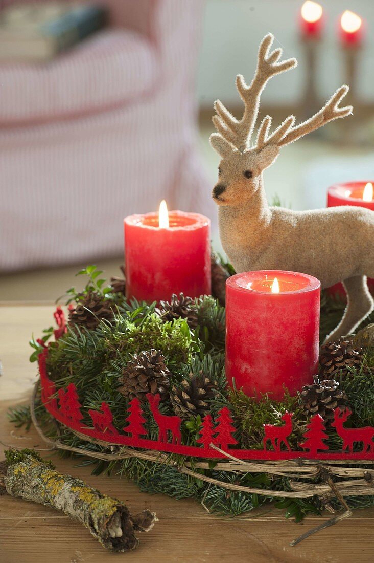 Red-green Advent wreath of mixed conifers and Buxus