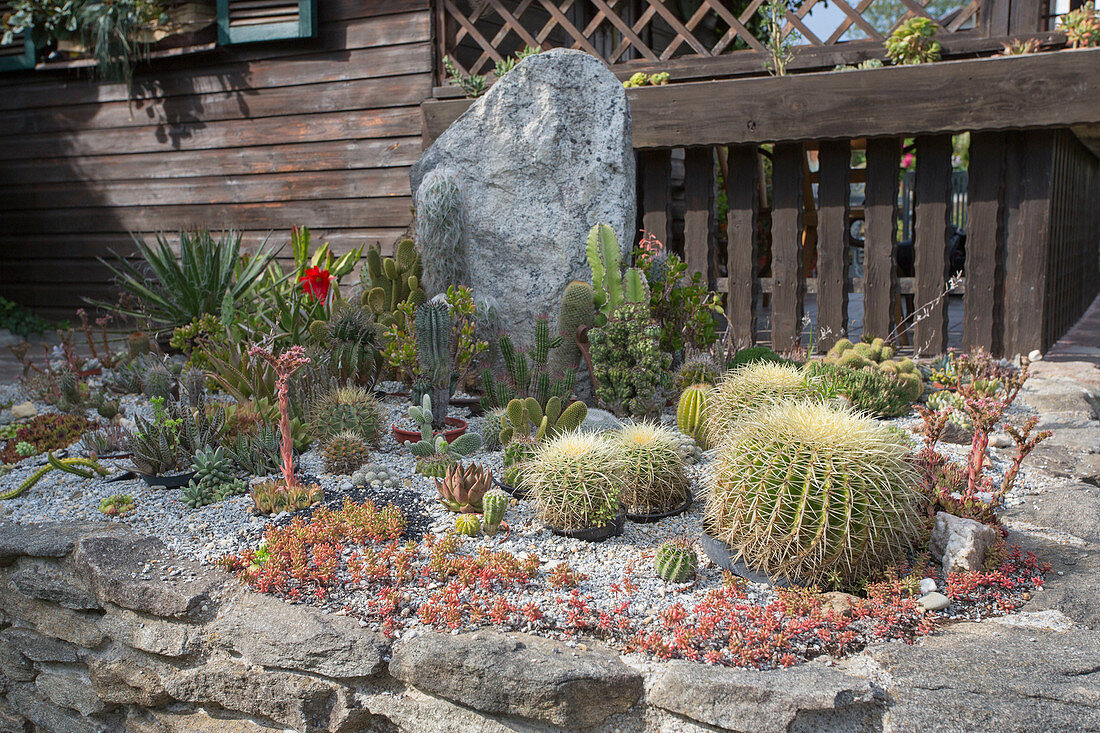 Raised bed made of natural stones with gravel and crushed stone for sinking cacti and succulents in summer