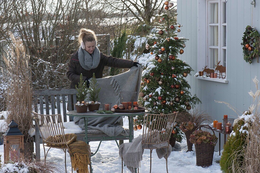 Snowy Christmas Terrace with Abies koreana (Korean fir)