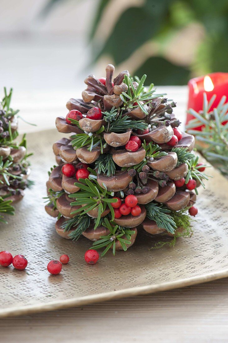 Zapfen von Pinus (Pinie) gefüllt mit roten Beeren von Ilex (Stechpalme)