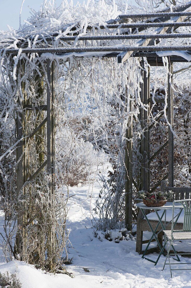 Wooden pavilion with hoarfrost covered in snowy garden