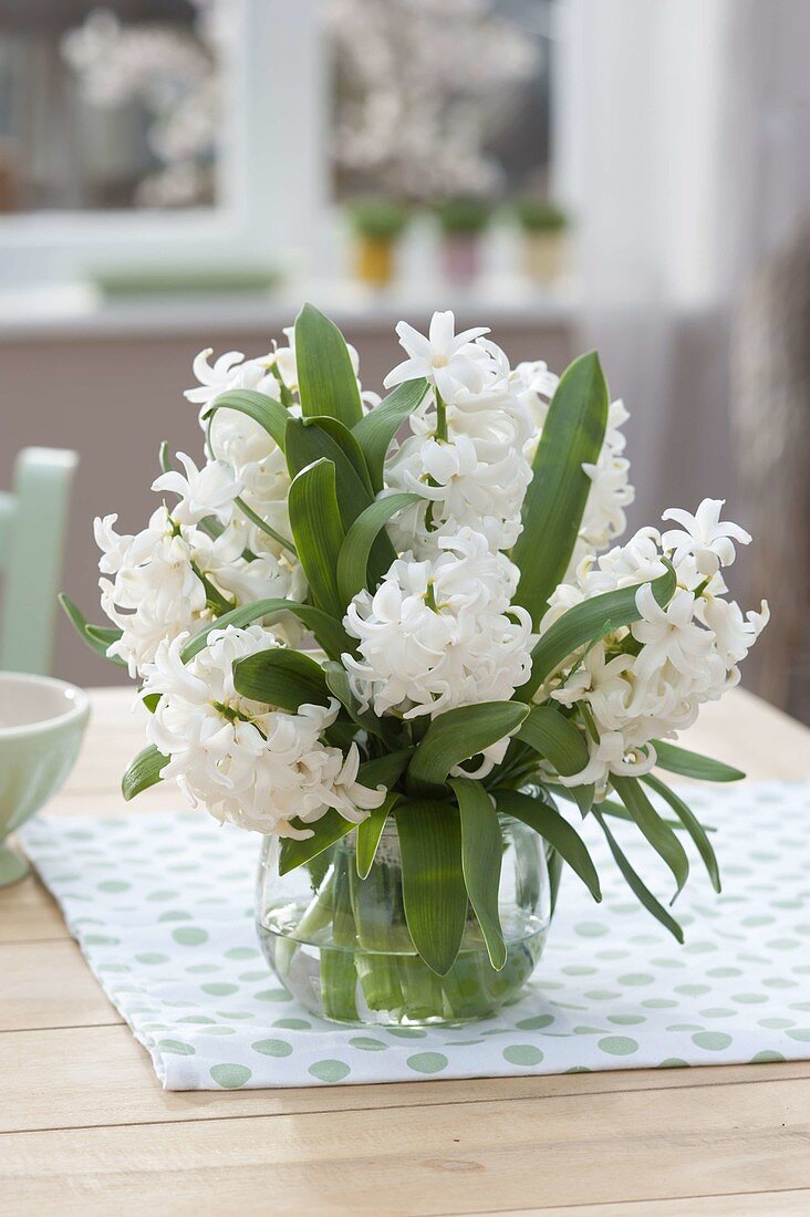 Kleiner Strauss aus Hyacinthus 'White Pearl' (Hyazinthen) in Glas-Vase