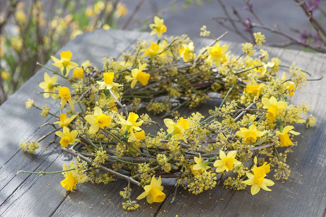 Gelber Kranz aus Zweigen von Cornus mas (Kornelkirsche) und Blüten