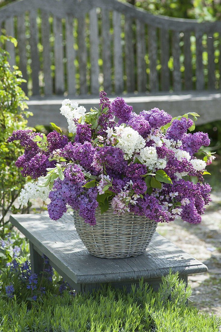 Lush Syringa and Malus branches bouquet