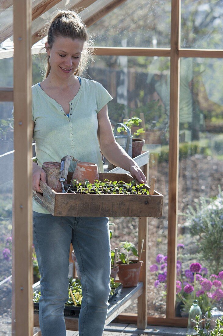 Build and set up the greenhouse