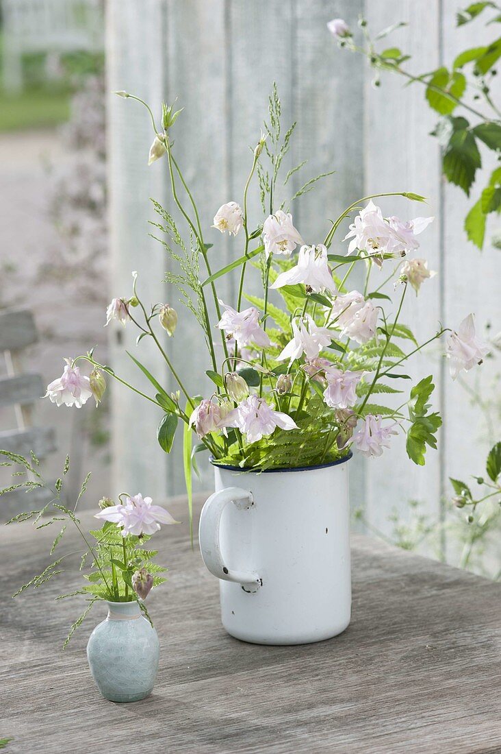 Aqilegia bouquet, grasses and fern leaves in enamelled top