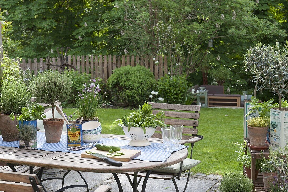 Herbs in pots and freshly harvested in sieve on the table