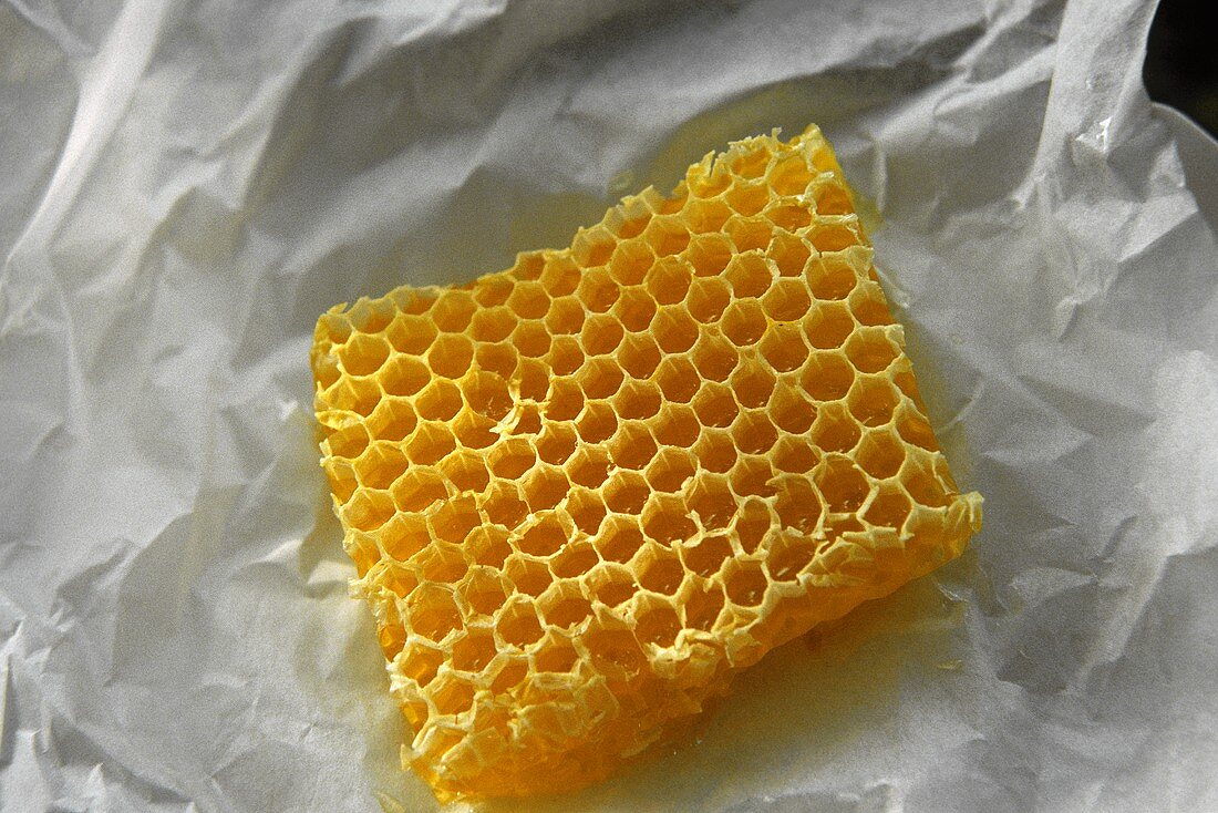 Honeycomb on Paper