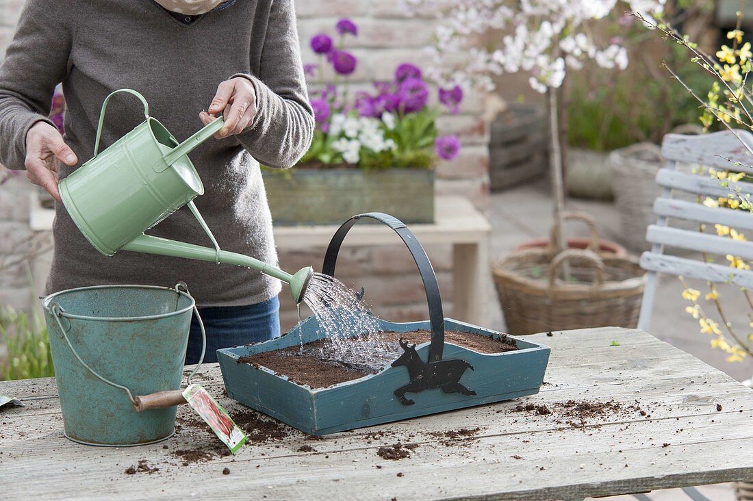 Put radishes in wooden basket