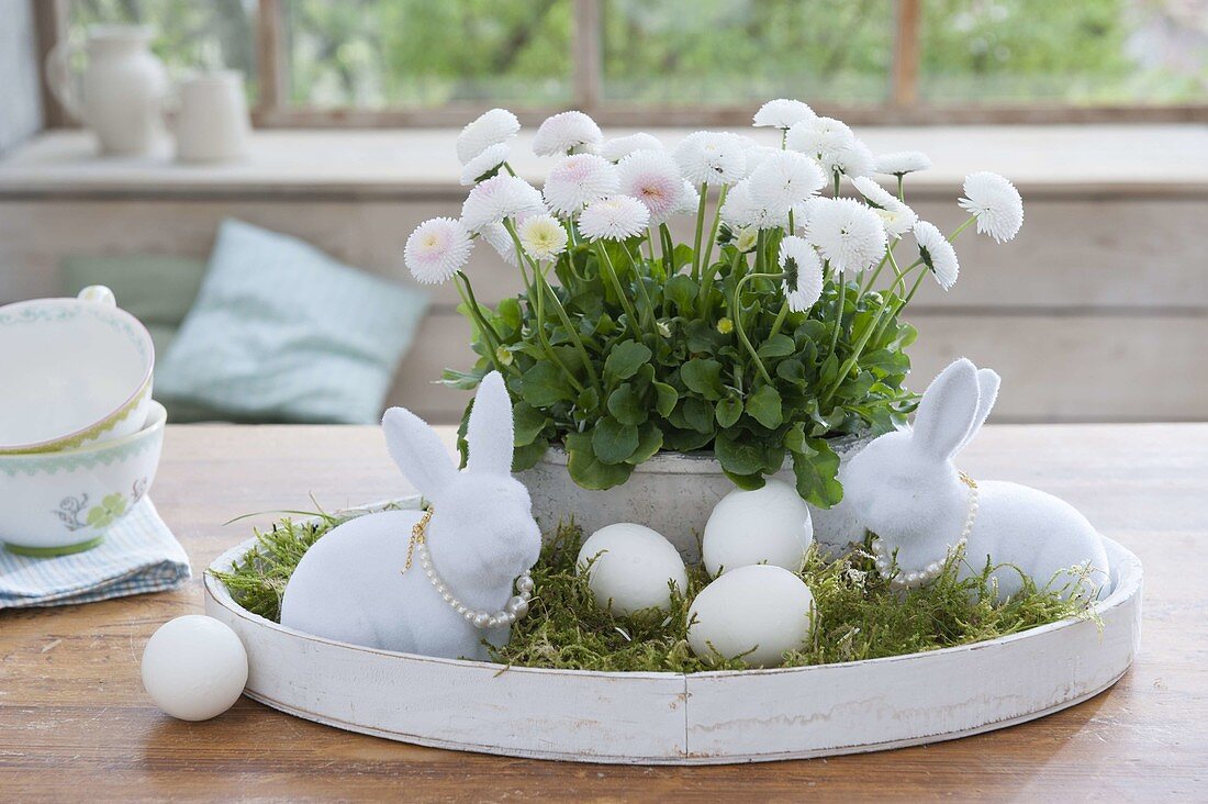 White tray with bellis, Easter bunnies with pearl necklaces