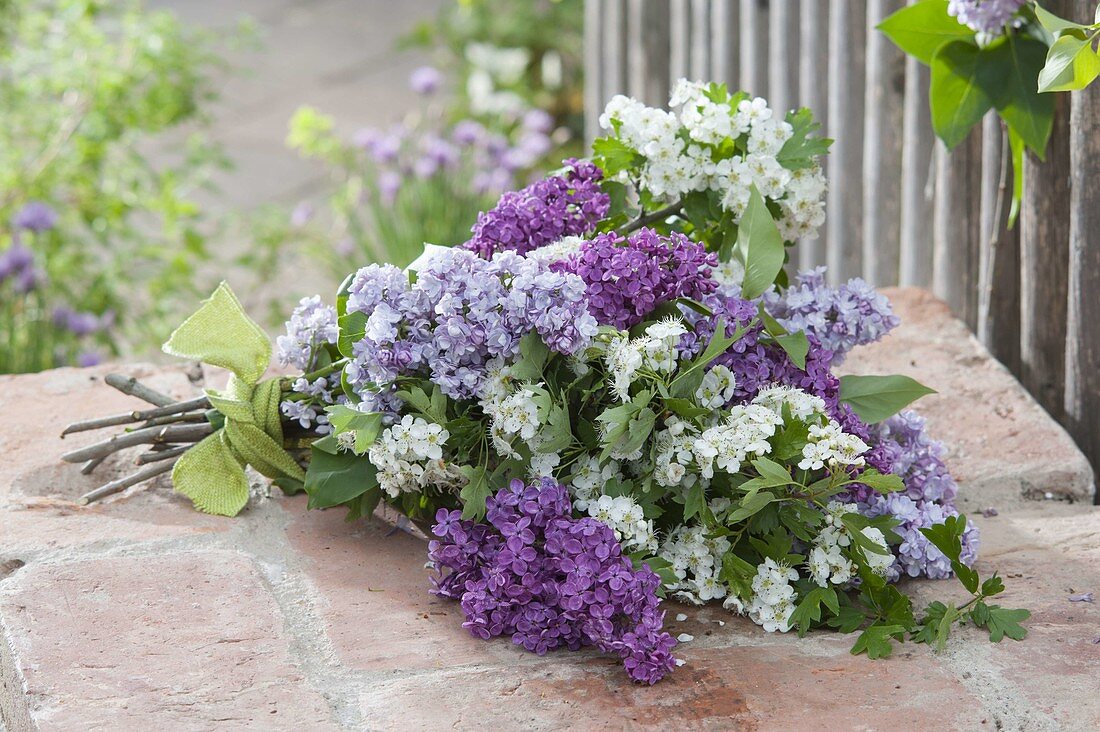 Lying Syringa (lilac) bouquet and Crataegus monogyna