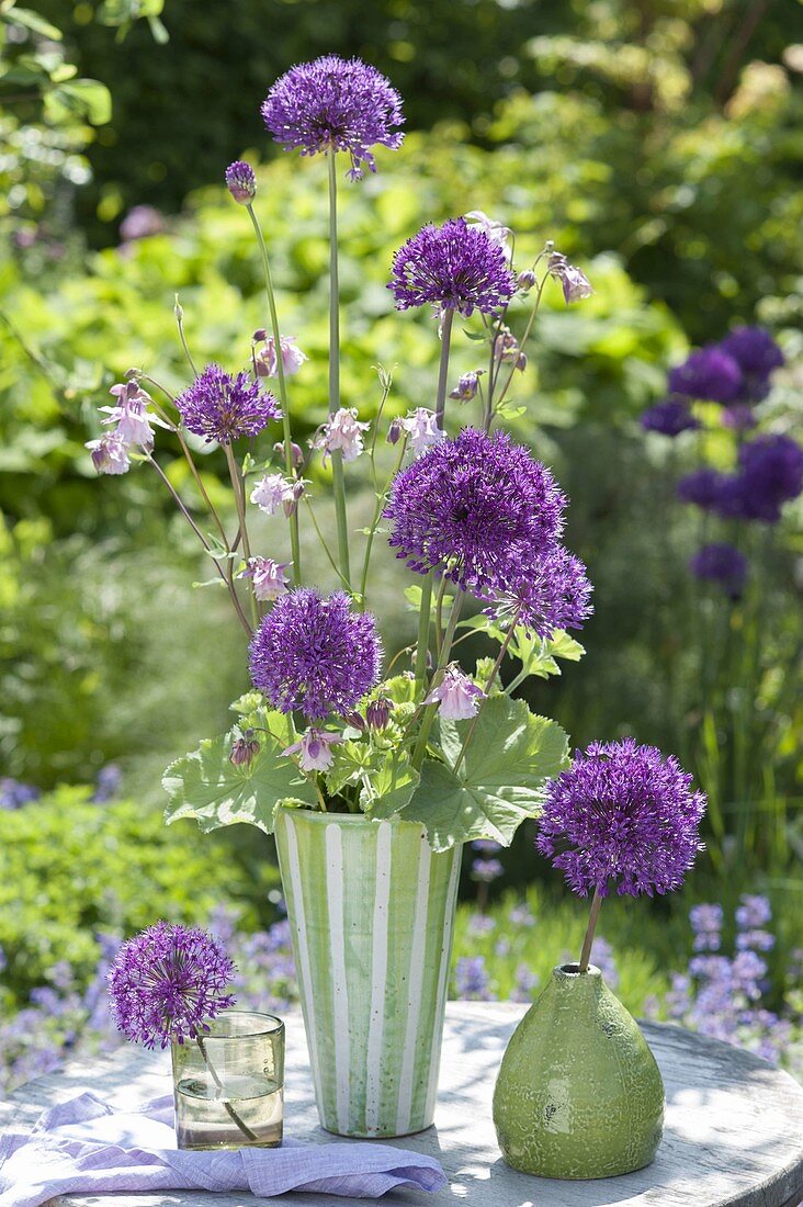 Ungewoehnlicher Strauss aus Allium 'Purple Sensation' (Zierlauch)