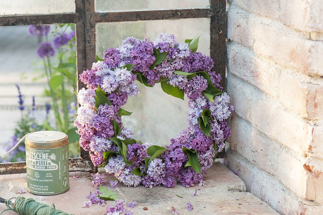 Syringa flowers wreath at the old greenhouse window