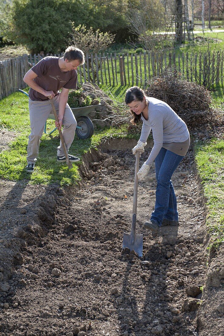 Create and plant the hillside