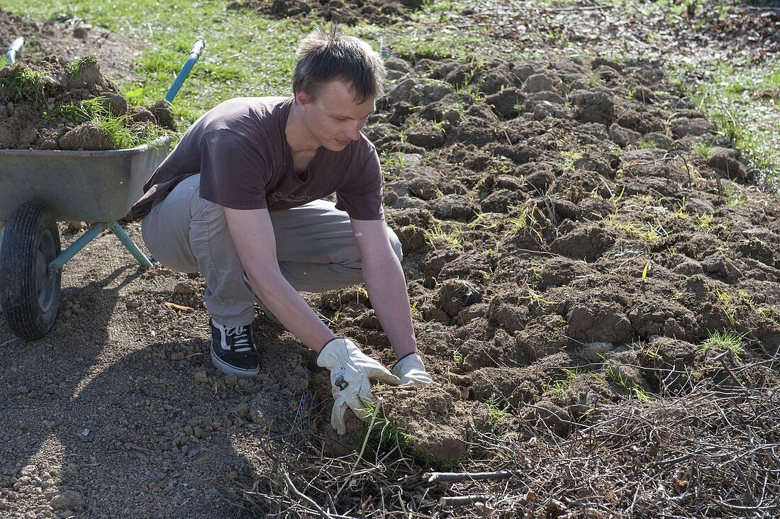 Create and plant the hillside