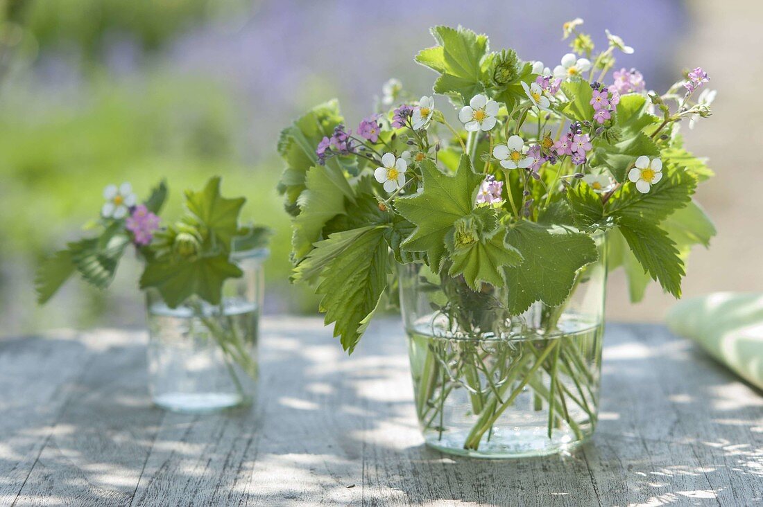 Small posy of alchemilla, flowers and leaves