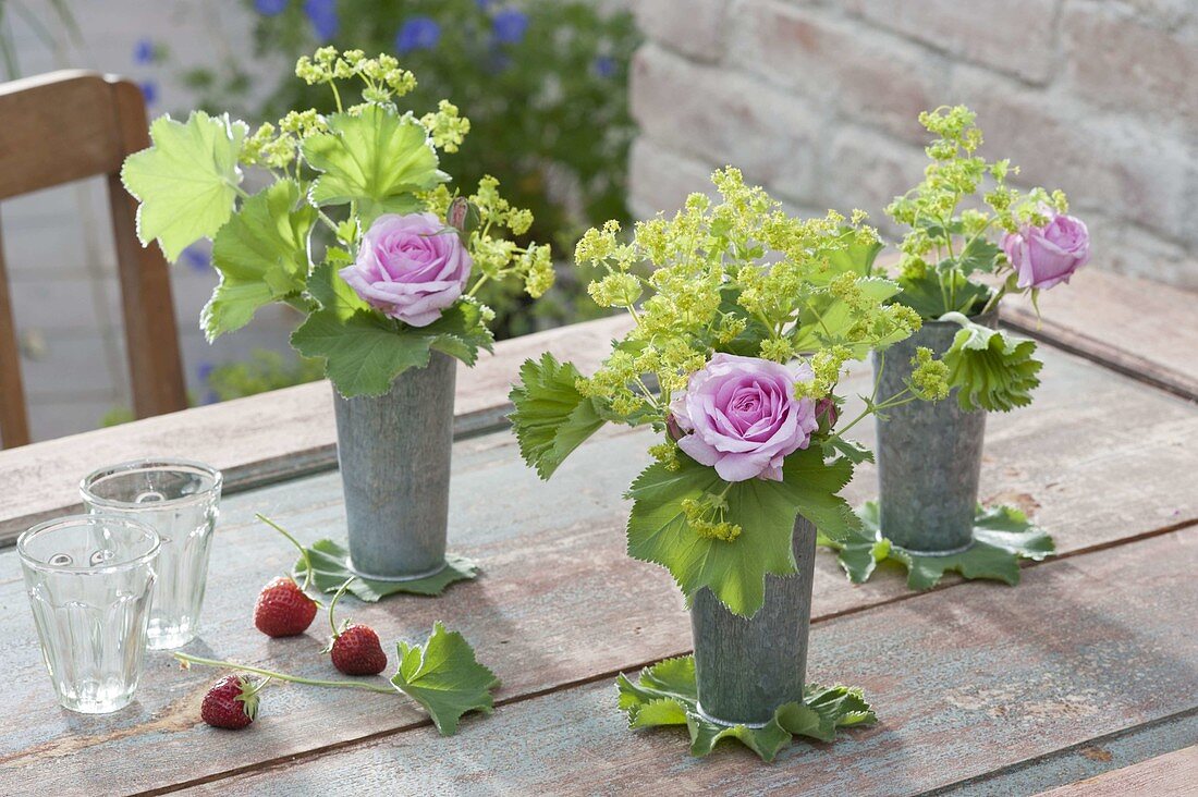 High zinc cups as vases with Alchemilla mollis and roses