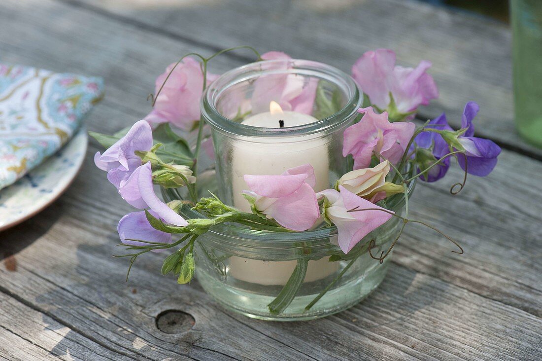 Fragrant table decoration, lantern with Lathyrus odoratus