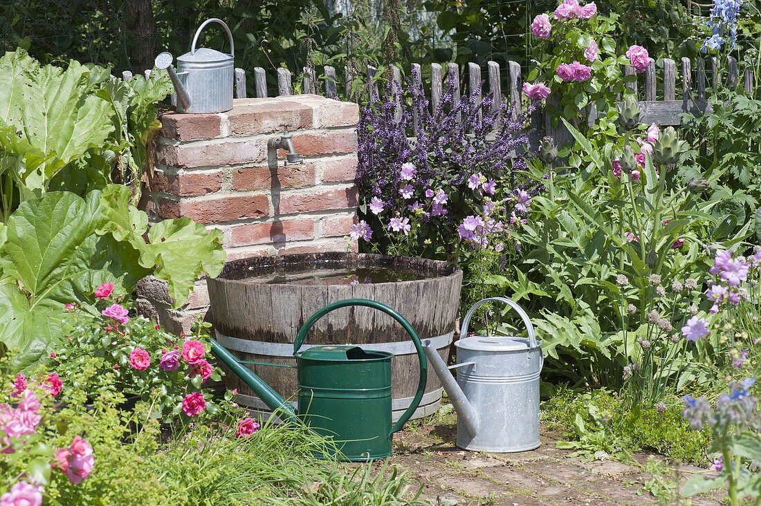 Water barrel and faucet for irrigation in the cottage garden