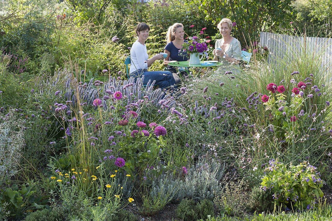 Blue-purple flower bed and seatting place in the natural garden