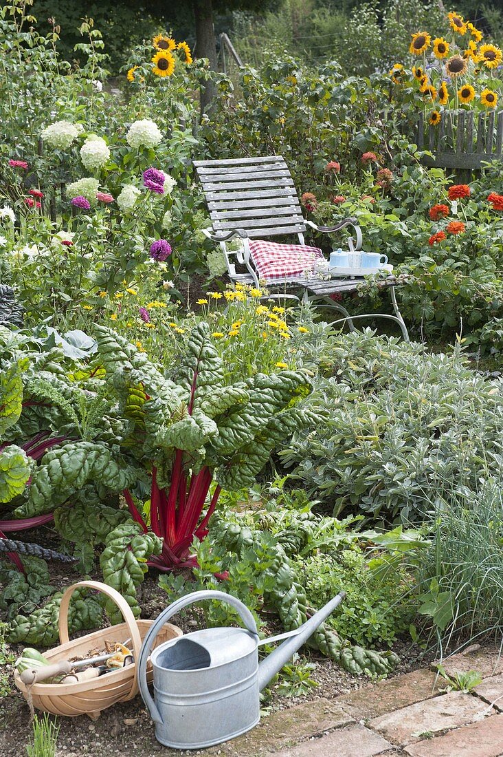 Seating in the late summer organic garden