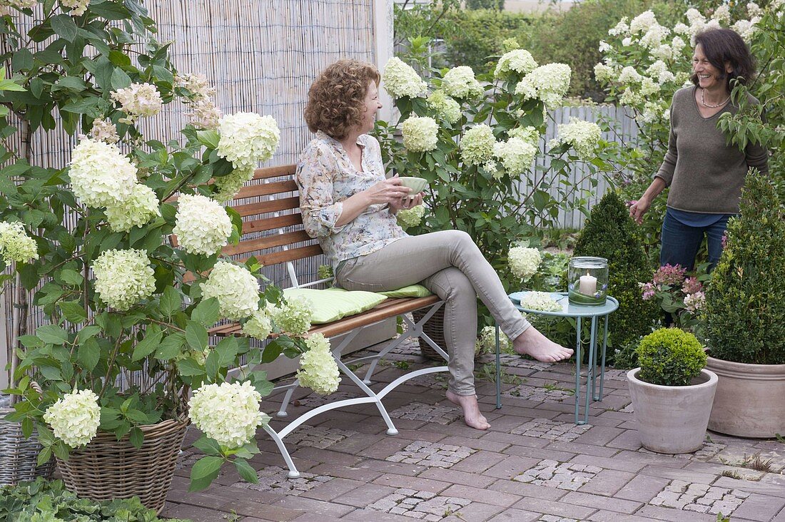 Patio on terrace with white flowers