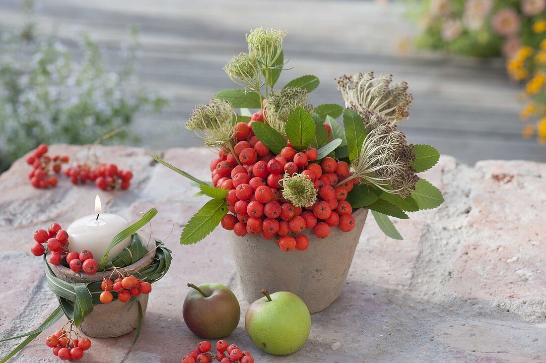 Terracotta pots with berry decoration sorbus