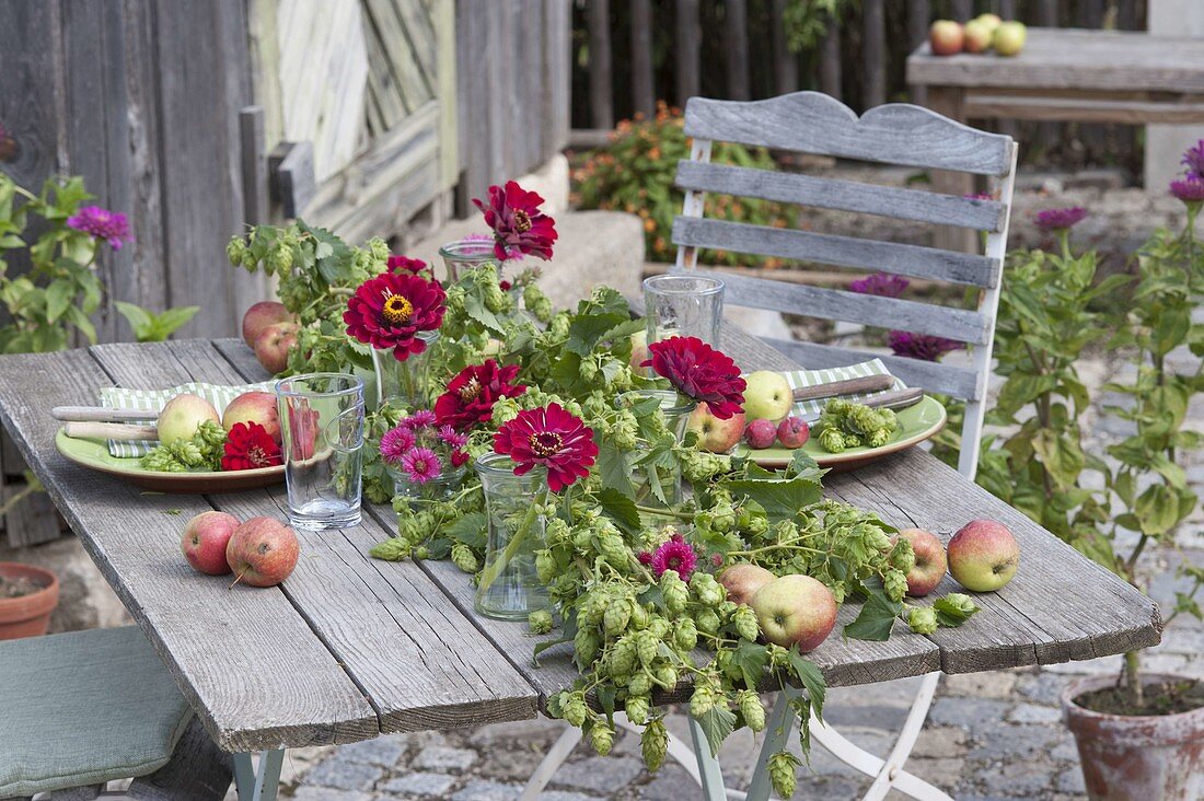 Laid table with Humulus lupulus (hops) in the center of the table