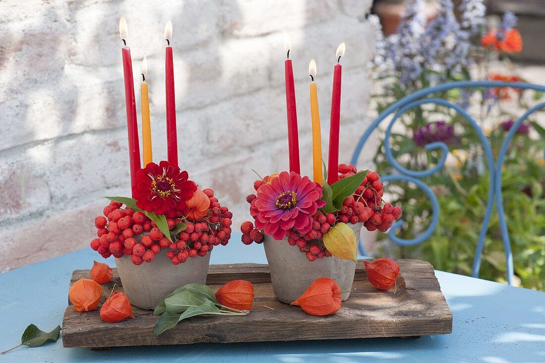 Small table decoration with sorbus (rowan berries, rowan), zinnia