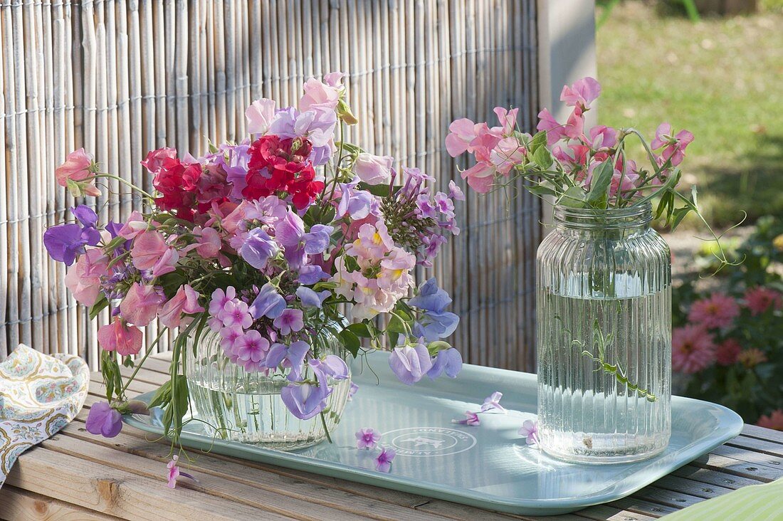 Bouquet of Lathyrus odoratus, Phlox