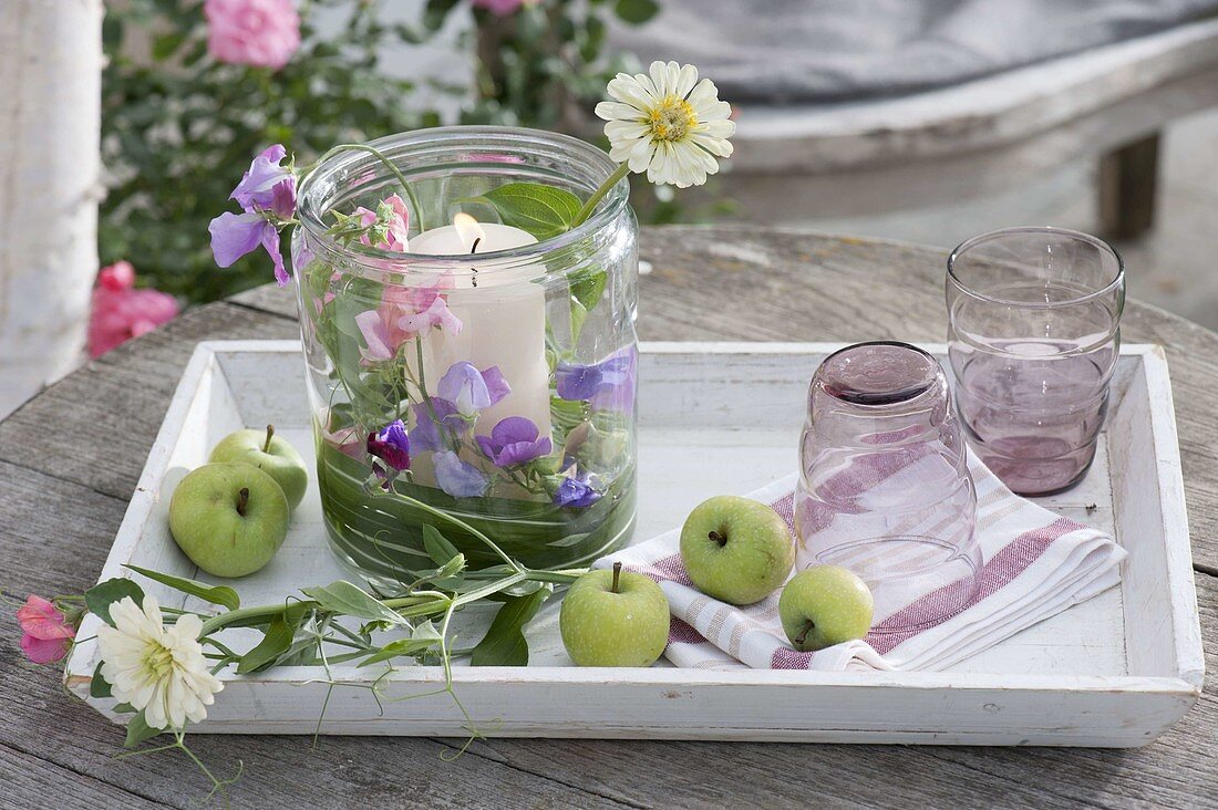 Lantern with scented peas and zinnias