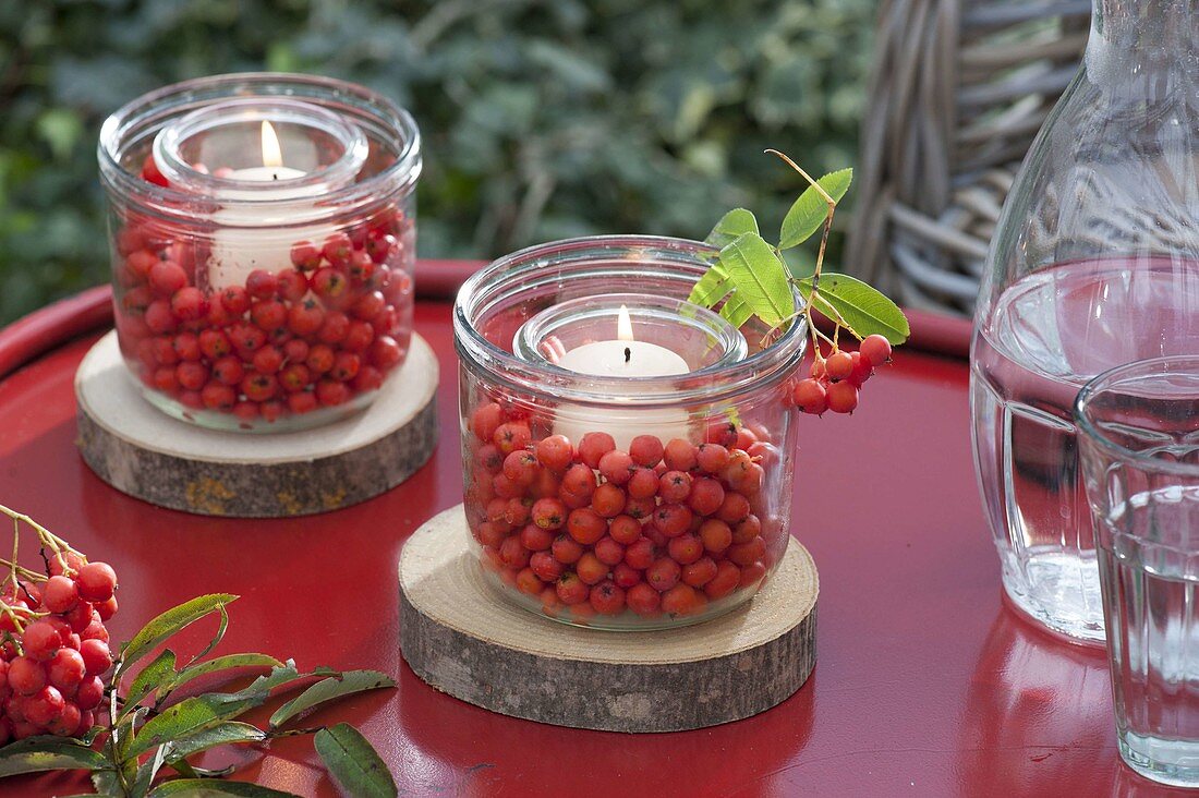 Kleine Windlichter mit Beeren von Sorbus (Vogelbeere, Eberesche)