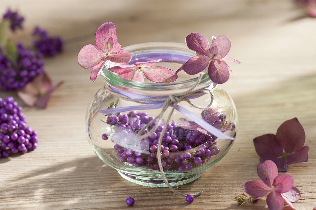 Kleine Deko im Einmachglas : Beeren von Callicarpa (Liebesperlenstrauch)