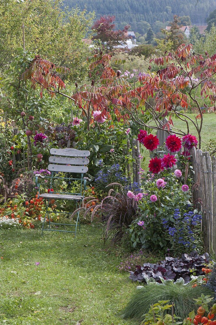 Small autumn garden with perennials and summer flowers