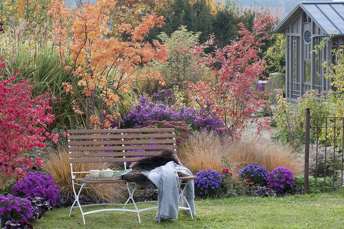 Indian summer in the autumn garden